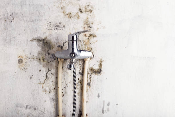 Best Mold Remediation for Specific Building Types in Orange City, IA